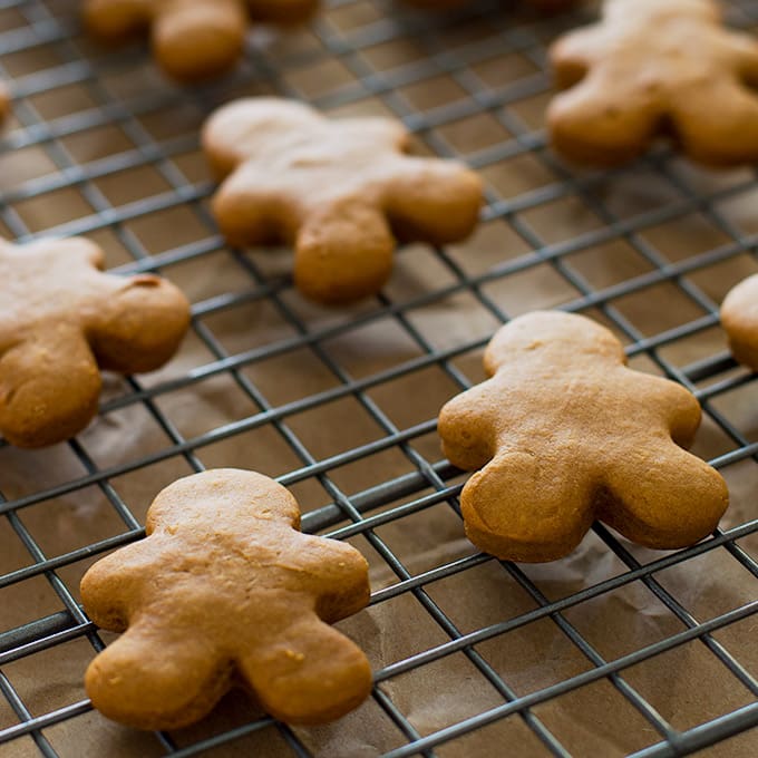 DIY Pet Gingerbread: Simple Recipe with Healthy Ginger Benefits